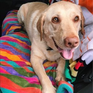 Meet your Posher, Hannah