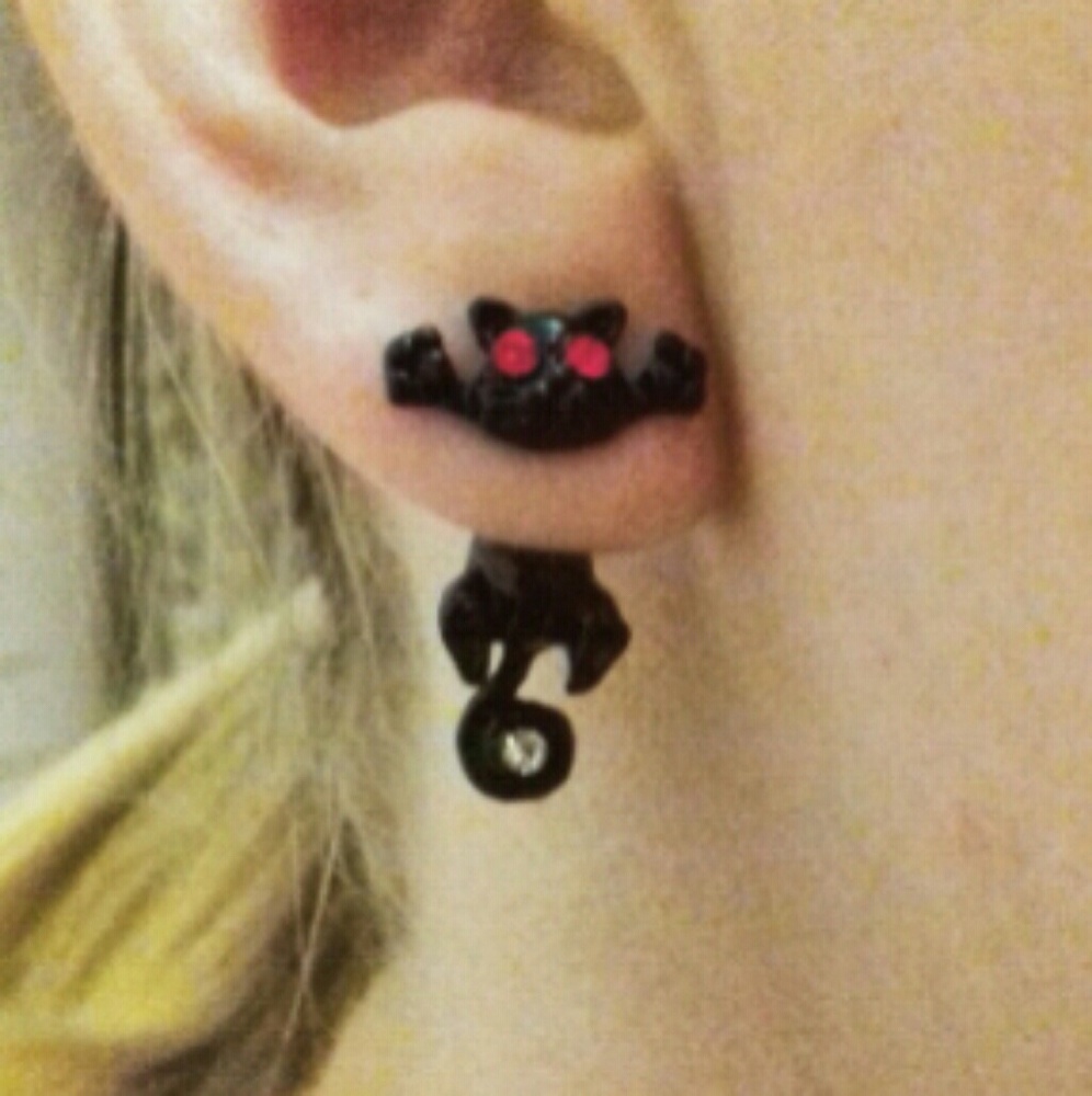 New Earrings cats