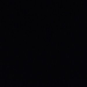 Meet your Posher, Cece