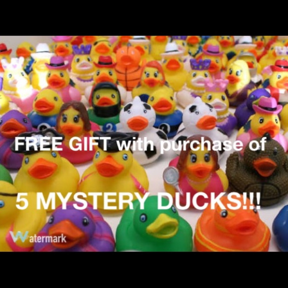 🐤5 MYSTERY DUCKS!!!