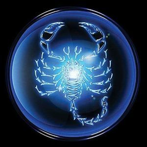 Meet your Posher, Tomeco