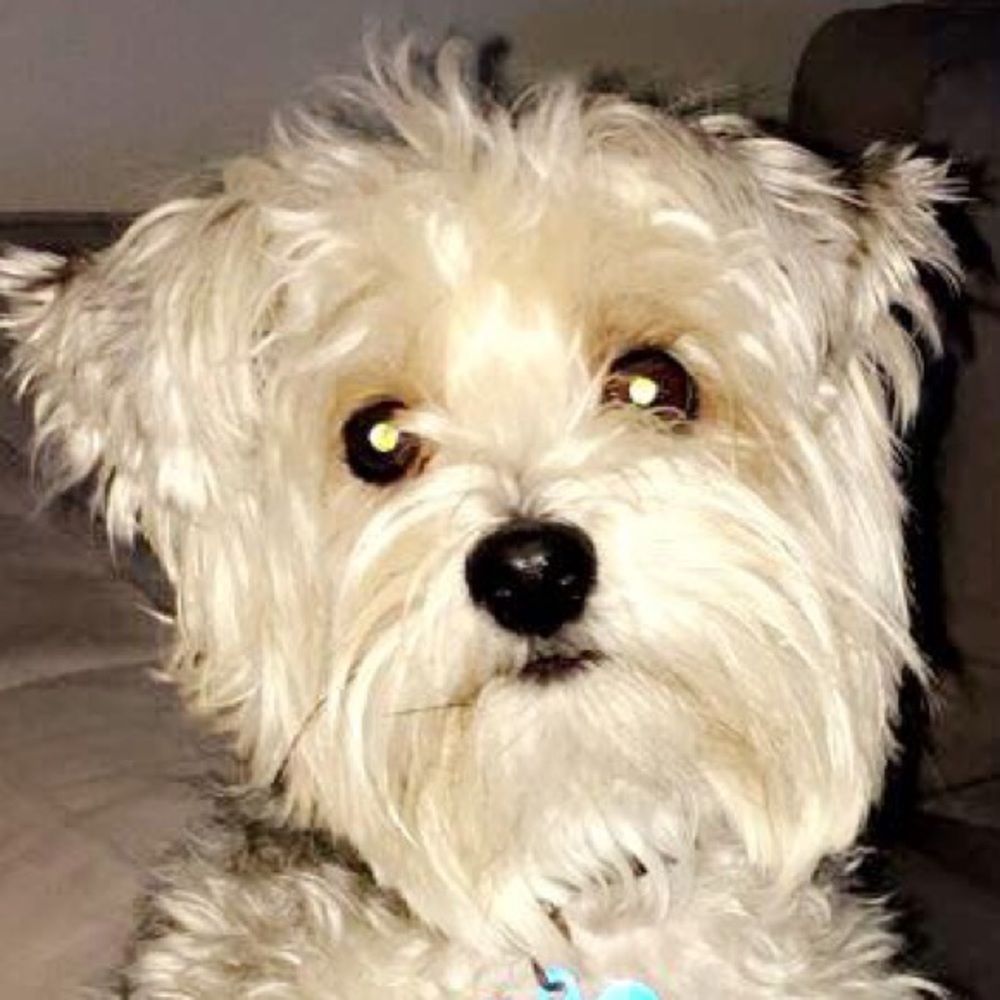 Meet your Posher, Arita