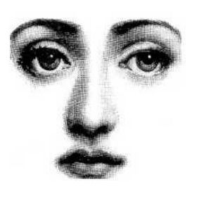 Meet your Posher, Terry