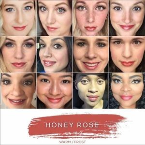 Lipsense Color Honey Rose DISCONTINUED COLOR