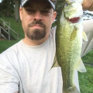 Meet your Posher, Cy