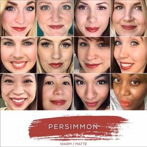 Lipsense Color Persimmon *SOLD OUT ONLINE*