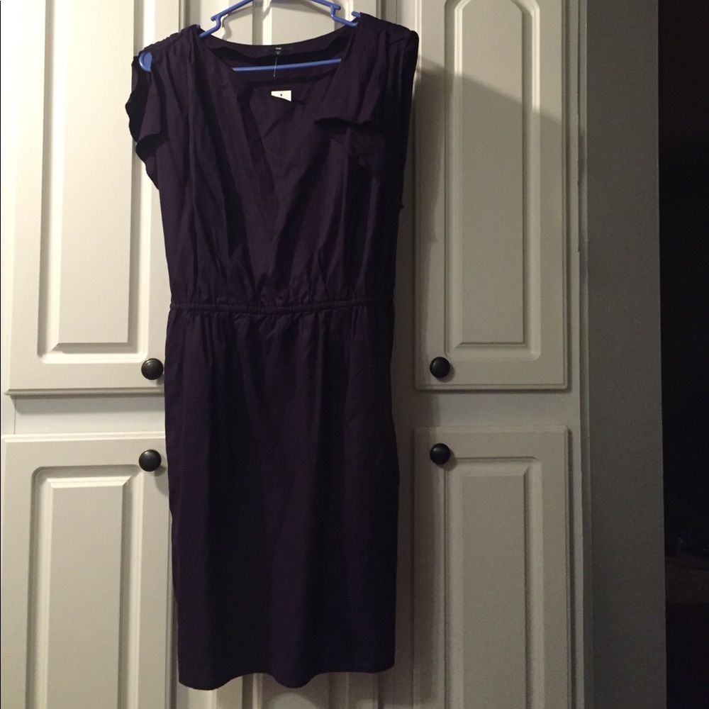 Gap Eggplant Dress