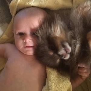 Meet your Posher, Nancy