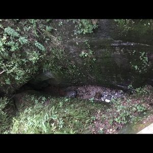 Meet your Posher, Louis