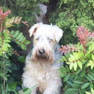 Meet your Posher, Don