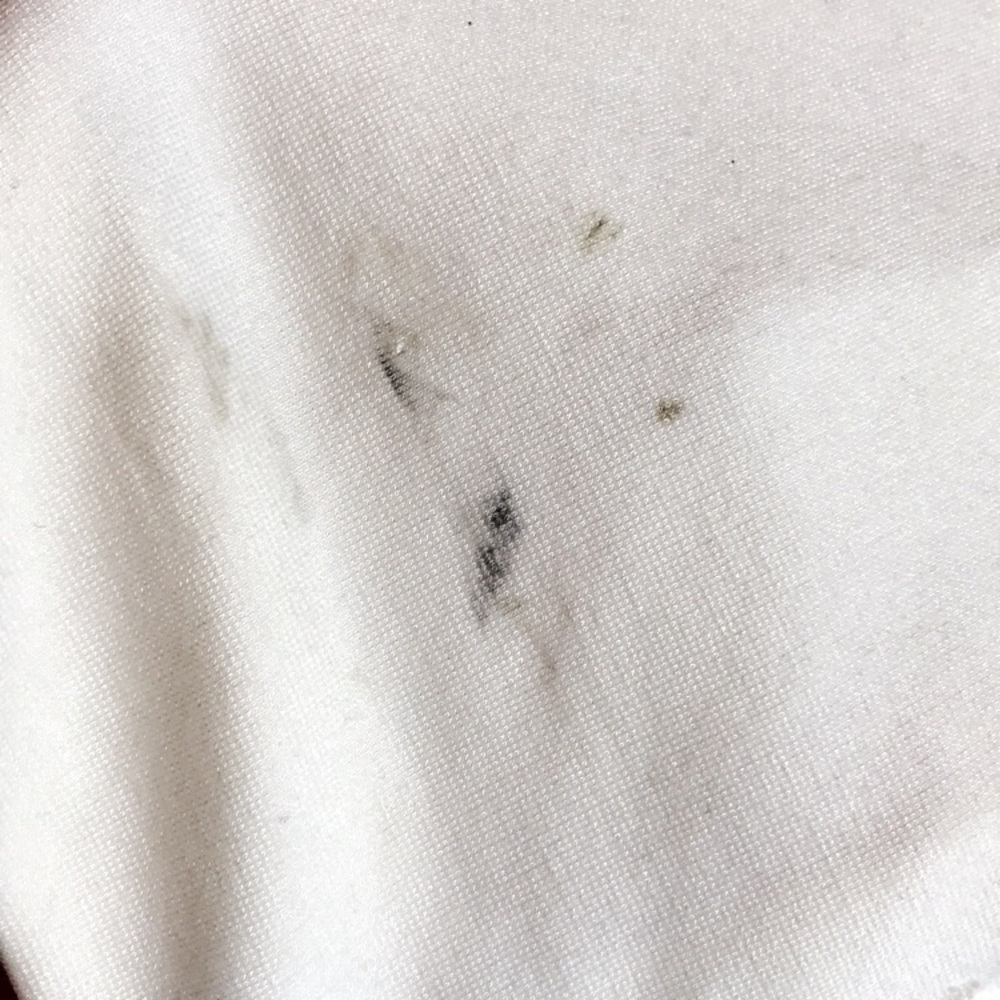 Blazer-New! - Picture 4 of 5
