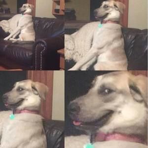 Meet your Posher, Daniel