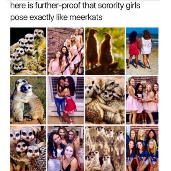 โ๐ฝโค๏ธ๐๐๐ - Picture 9 of 9