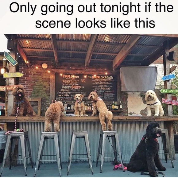 โ๐ฝโค๏ธ๐๐๐ - Picture 8 of 9