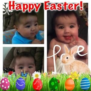 Meet your Posher, Debbie