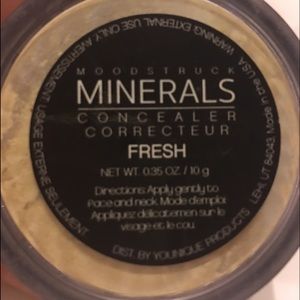 Younique Moodstruck Minerals Concealer