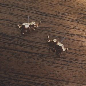 Gold Elephant Studs