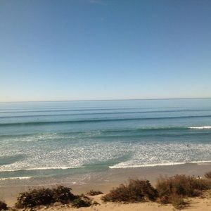 Meet your Posher, Darla