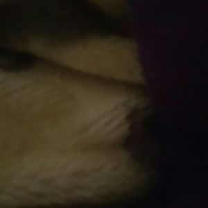 Meet your Posher, Sonia