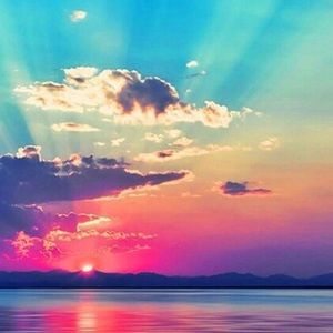 Meet your Posher, Jillian