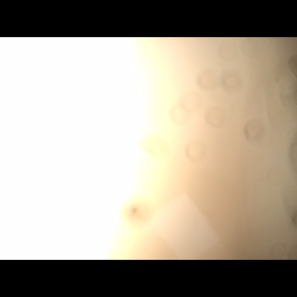 Meet your Posher, Shi