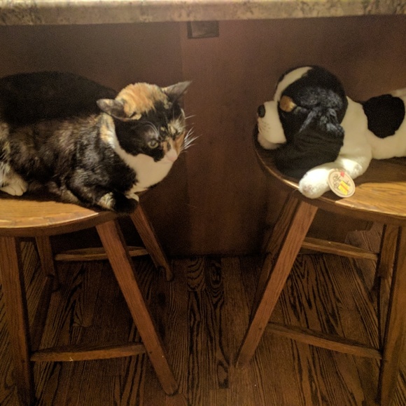 Meet your Posher, Francine - Picture 1 of 1