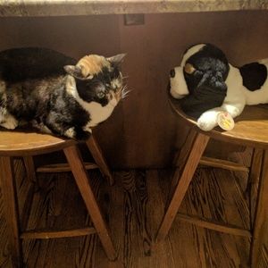 Meet your Posher, Francine