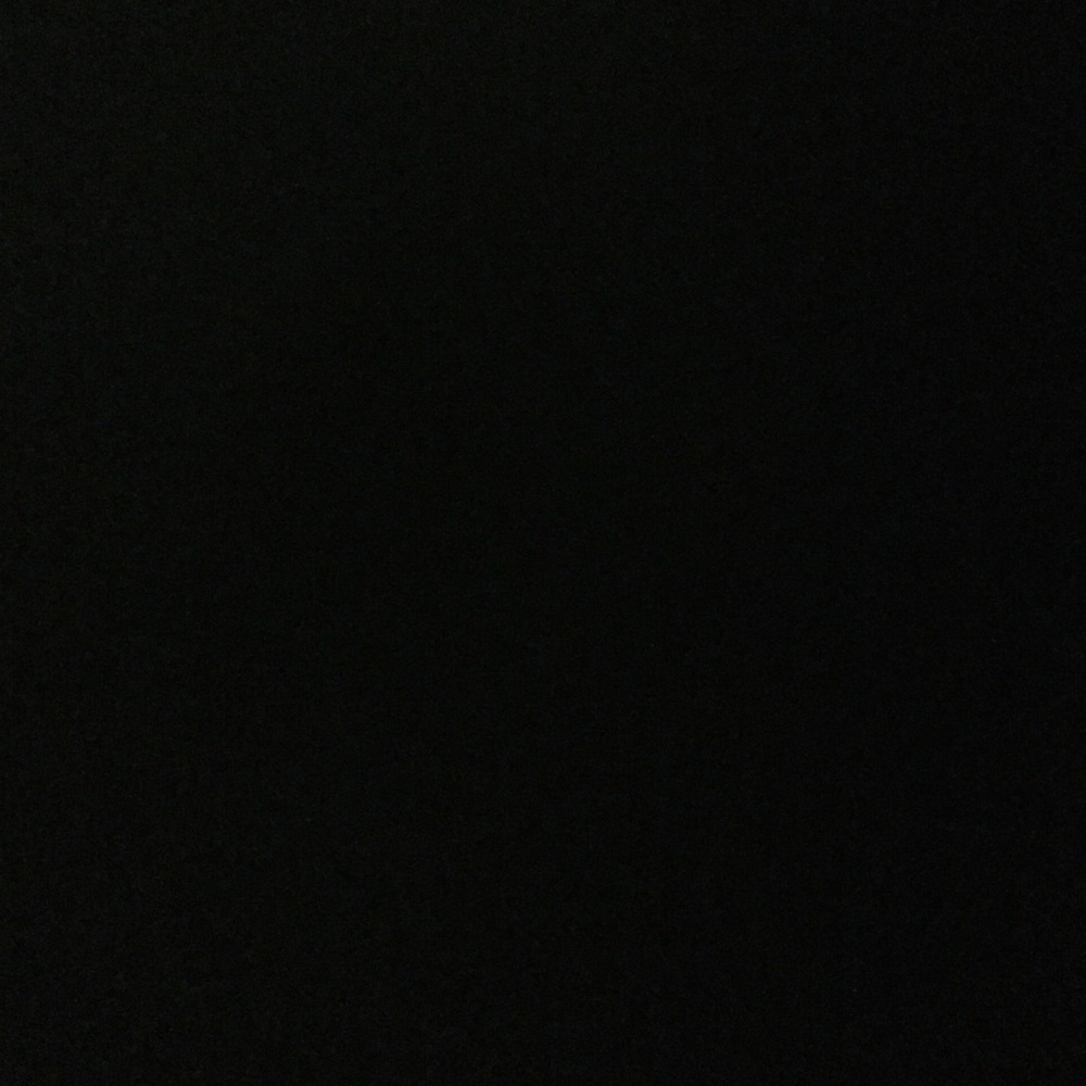 Meet your Posher, Sammy