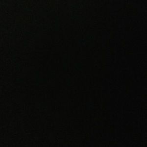 Meet your Posher, Sammy