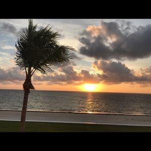 Meet your Posher, Joann