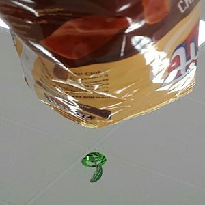 Meet your Posher, Arleather