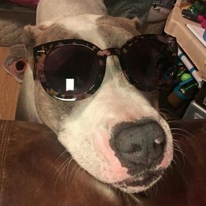 Meet your Posher, Carol