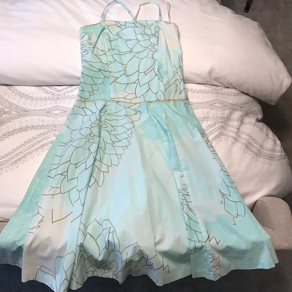 Anthropologie Dress