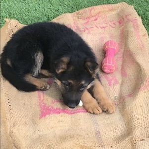 Meet your Posher, Christina