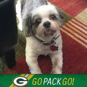 Meet your Posher, Sheri