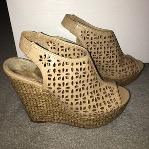 Carlos Wedges