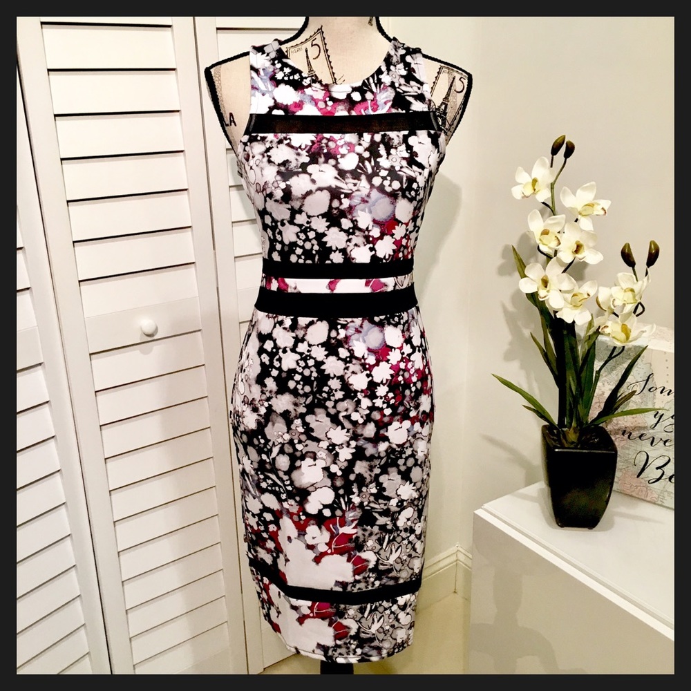 NWT Cute Sleeveless Mesh Bodycon Mini Dress