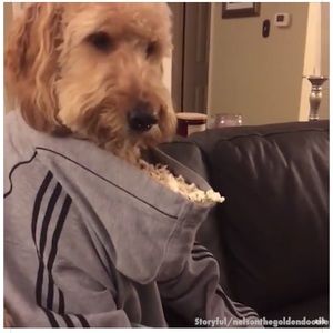 Meet your Posher, Kendyl