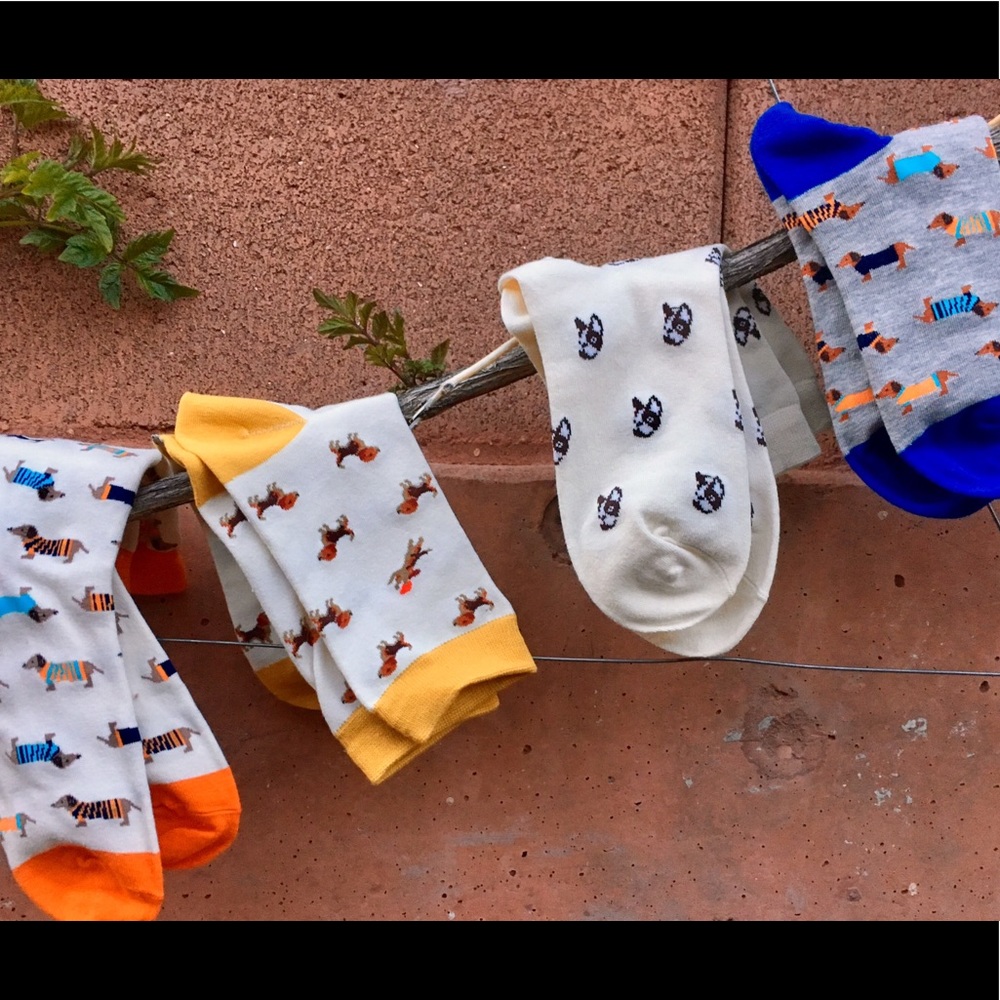 Dog Pup Print Socks - Choice Boston Terrier Beagle