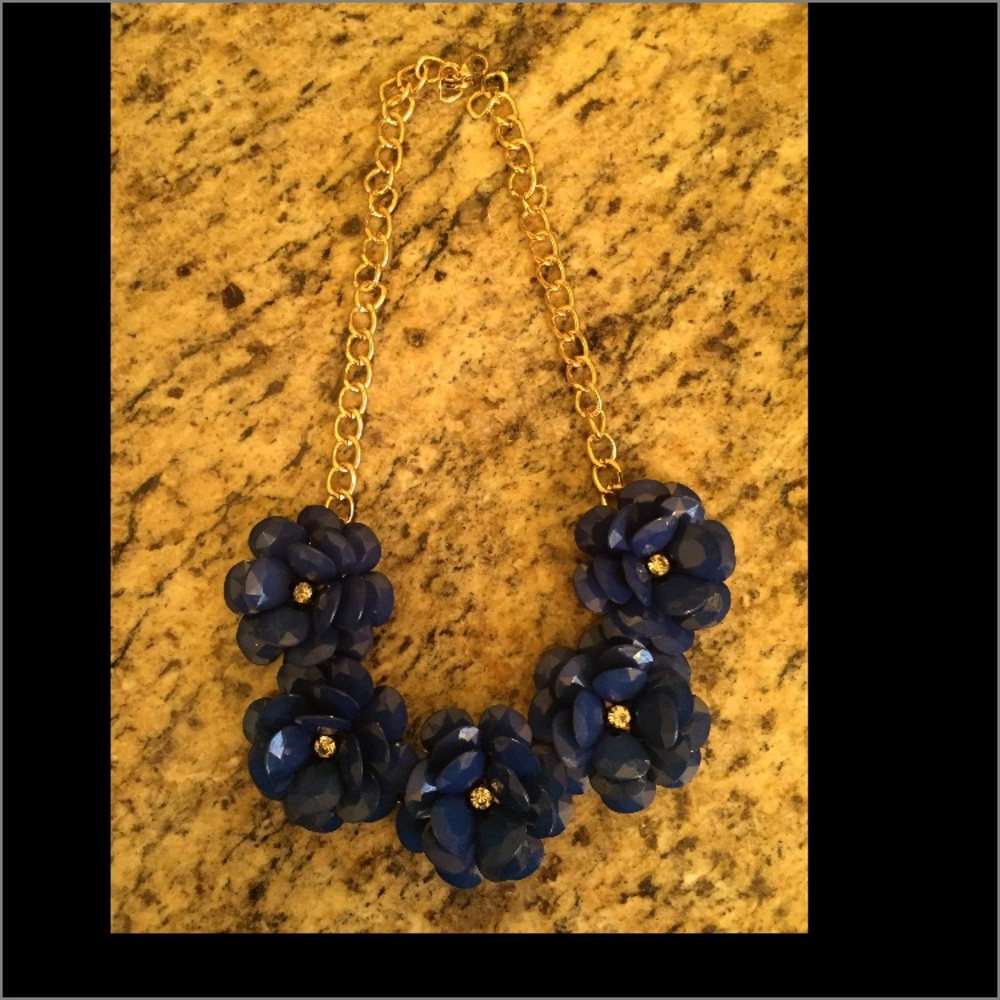 Costume jewelry! Navy necklace!