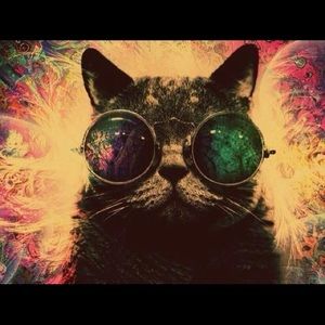 Meet your Posher, Devon