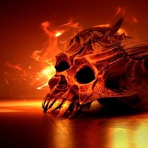 Meet your Posher, Adeel