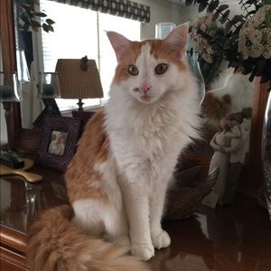 Meet your Posher, Sharron