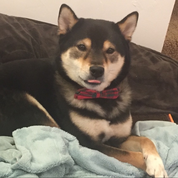 Meet your Posher, Marissa - Picture 2 of 2