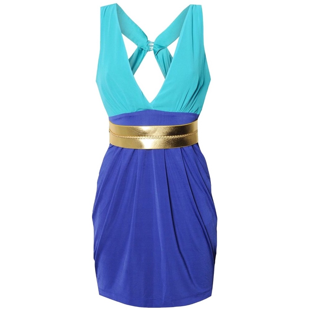 Lipsy Colorblock Dress