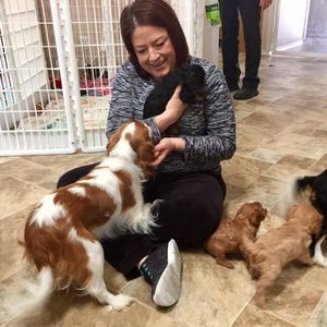 Meet your Posher, Nikki