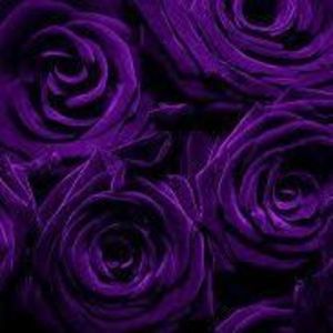 Meet your Posher, Carla