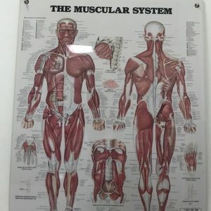 Meet your Posher, Pedro