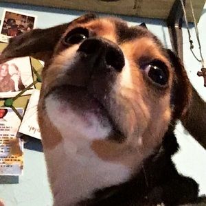 Meet your Posher, Danyelle