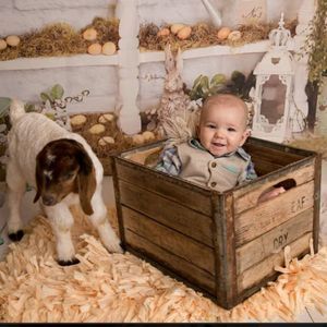 Meet your Posher, Heather